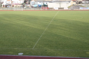 2012 (13) 